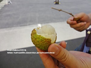 台湾ライチ食べ比べ5