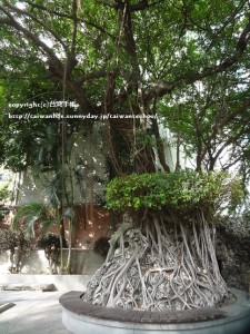 【台南の旅】美しい庭のある呉園