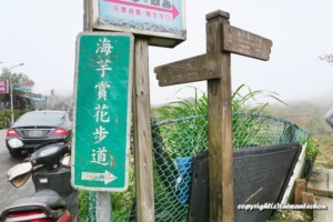 2019竹子湖カラーフェスティバル